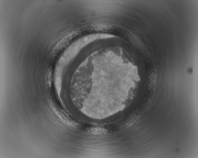 X0000115300644200911301514