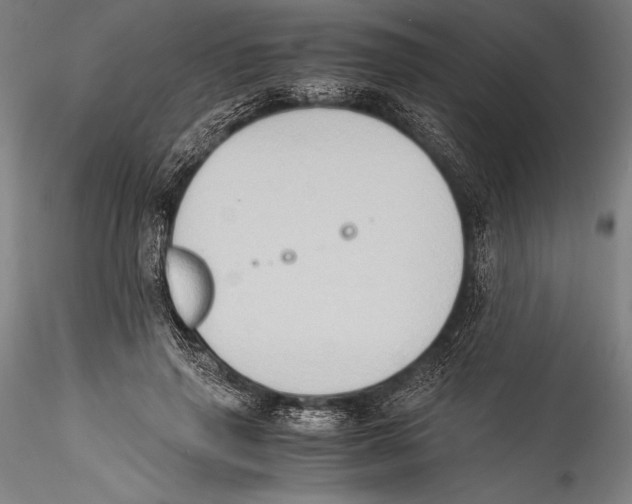 X0000115300645200911301514