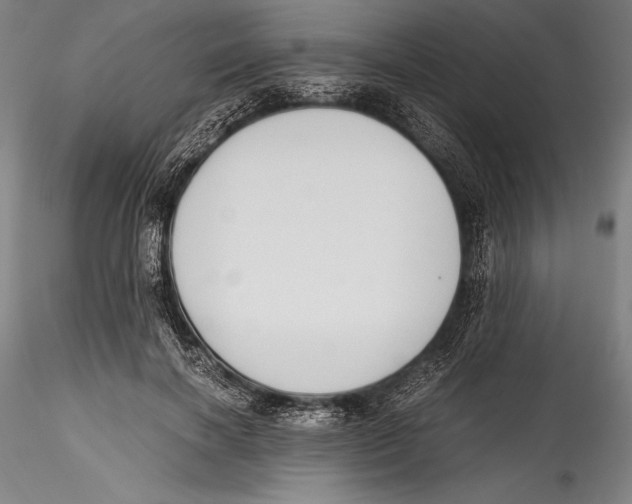 X0000115300646200911301514