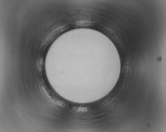 X0000115300647200911301514