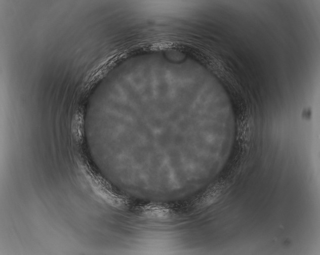 X0000115300648200911301514