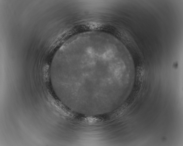 X0000115300650200911301514