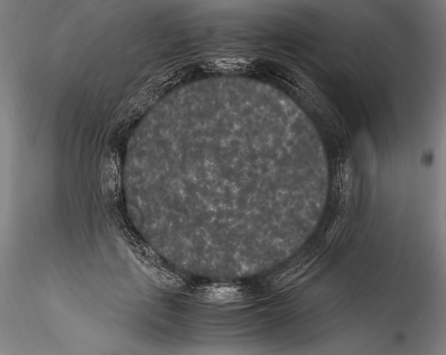 X0000115300651200911301514