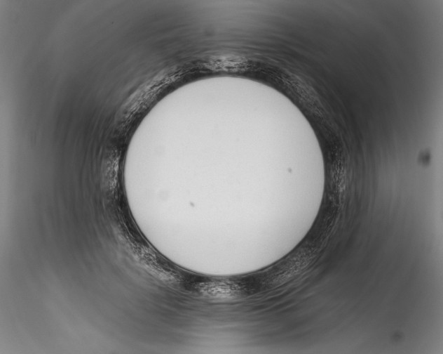 X0000115300652200911301514