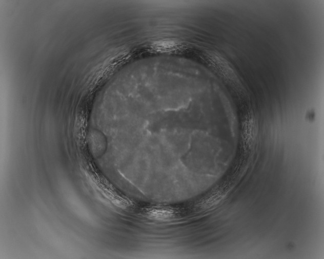 X0000115300653200911301514