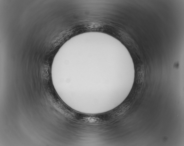 X0000115300654200911301514