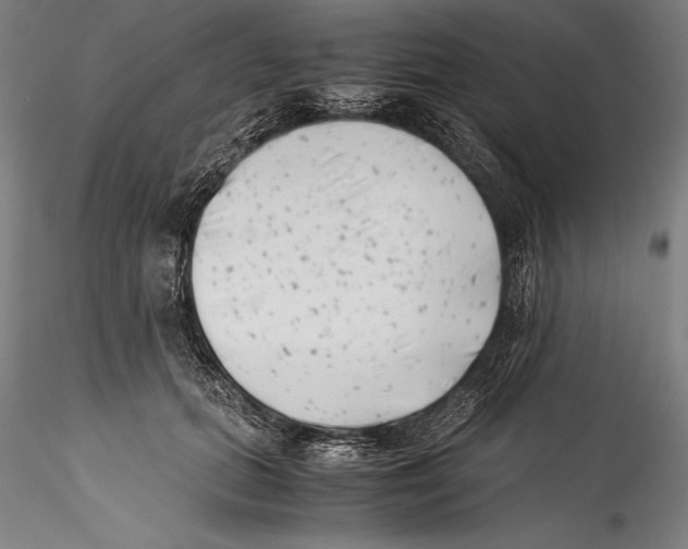 X0000115300655200911301514