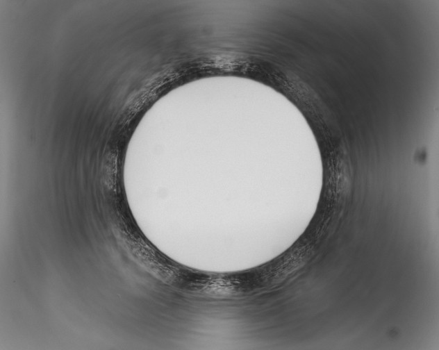 X0000115300656200911301514