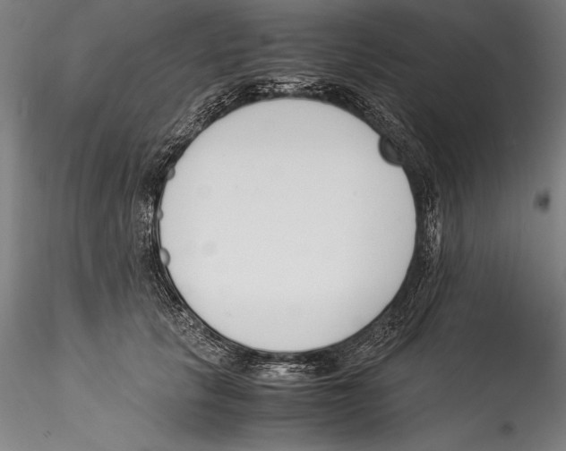 X0000115300657200911301514