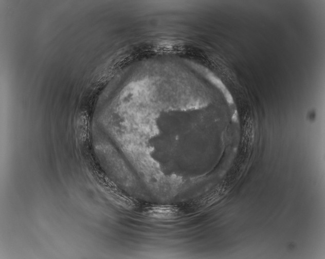 X0000115300659200911301514