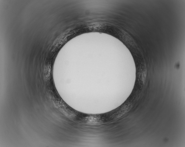 X0000115300660200911301514