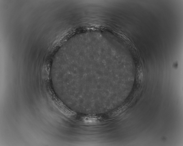 X0000115300661200911301514