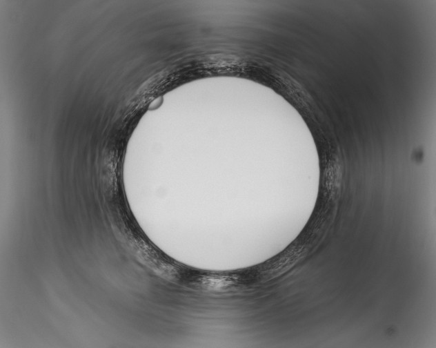 X0000115300662200911301514