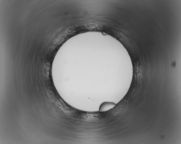 X0000115300664200911301514