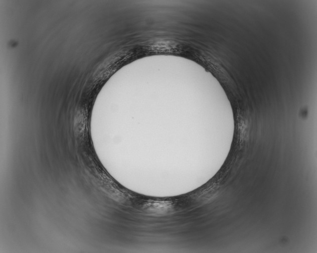 X0000115300665200911301514