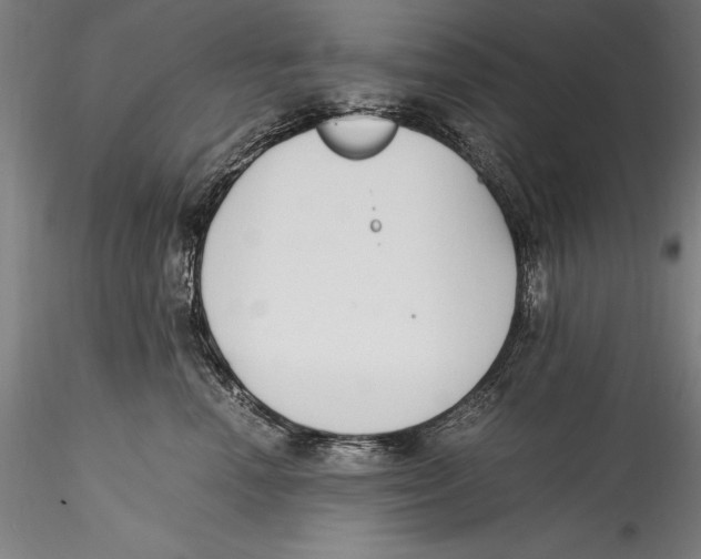 X0000115300666200911301515