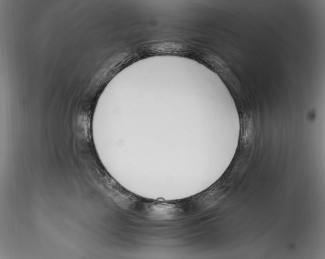 X0000115300669200911301515