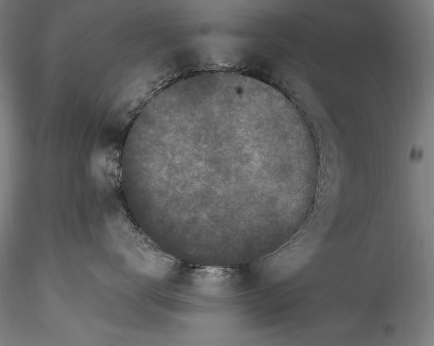 X0000115300672200911301515