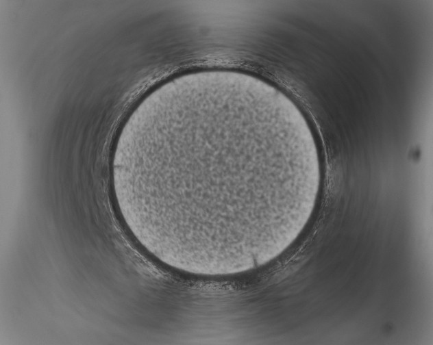 X0000115300673200911301514