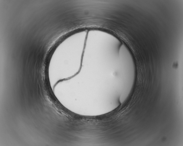 X0000115300676200911301514