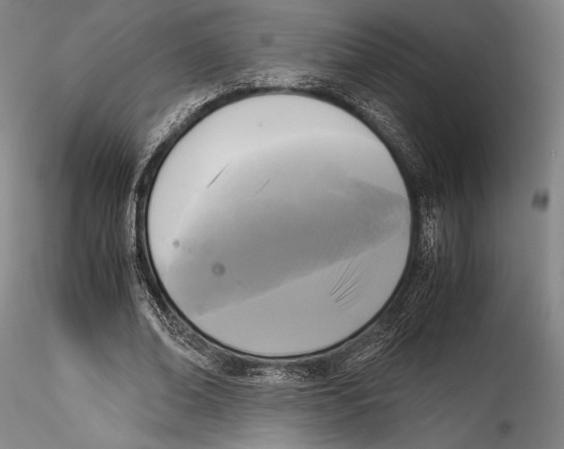 X0000115300678200911301514