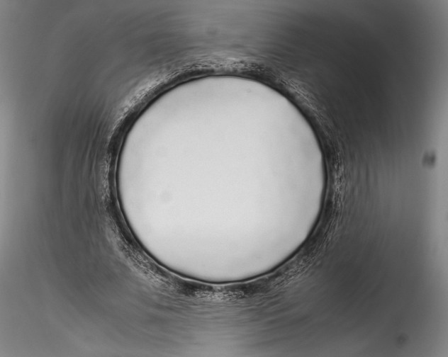 X0000115300679200911301514