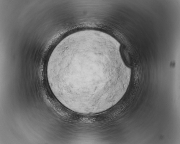 X0000115300680200911301514