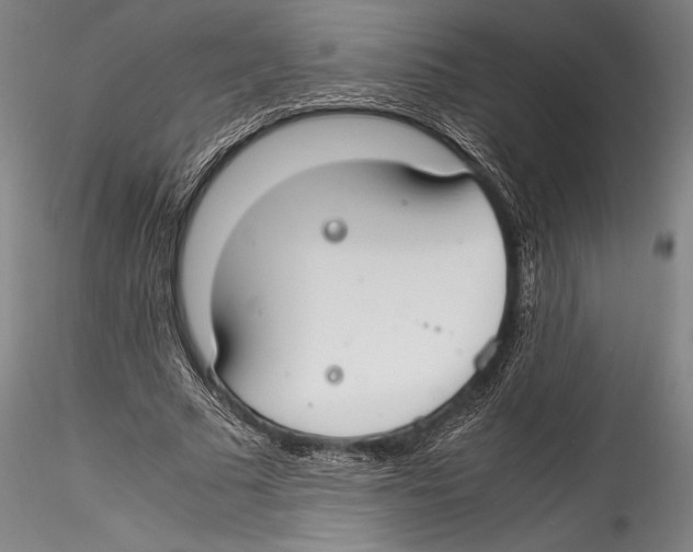 X0000115300681200911301514