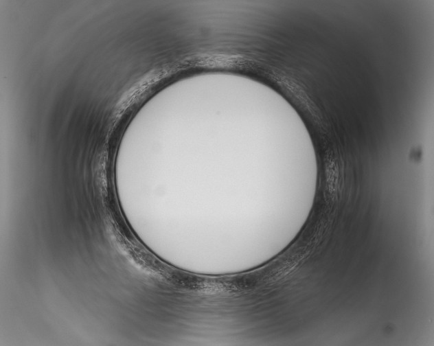 X0000115300682200911301514