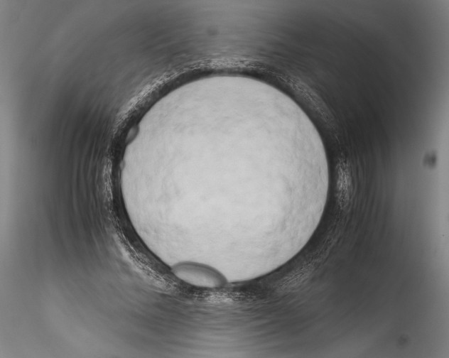 X0000115300684200911301514