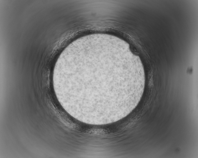 X0000115300685200911301514