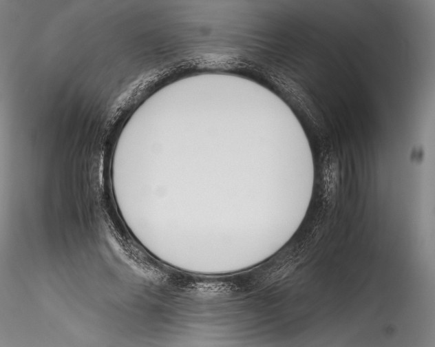 X0000115300686200911301514