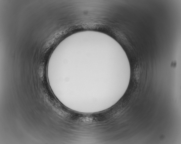 X0000115300687200911301514