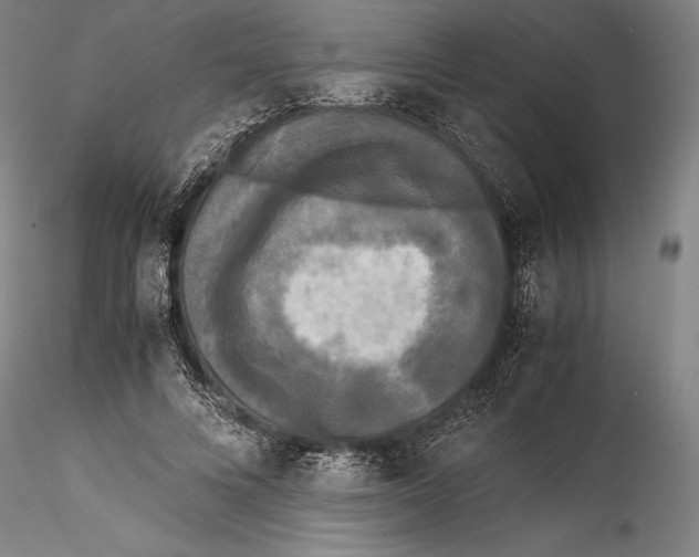 X0000115300688200911301514