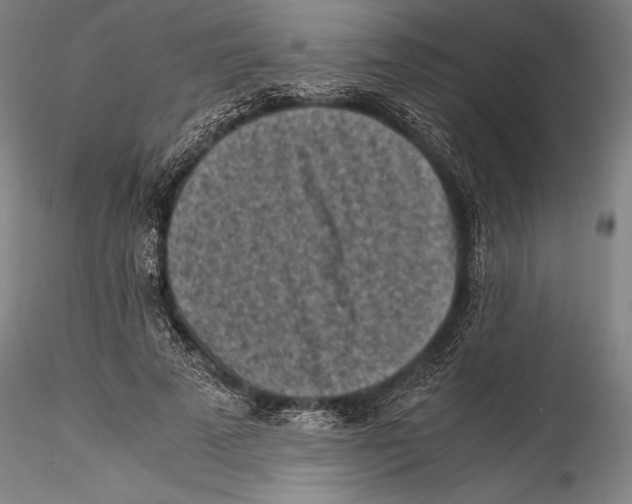 X0000115300689200911301514