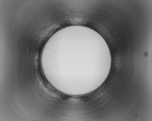 X0000115300690200911301514