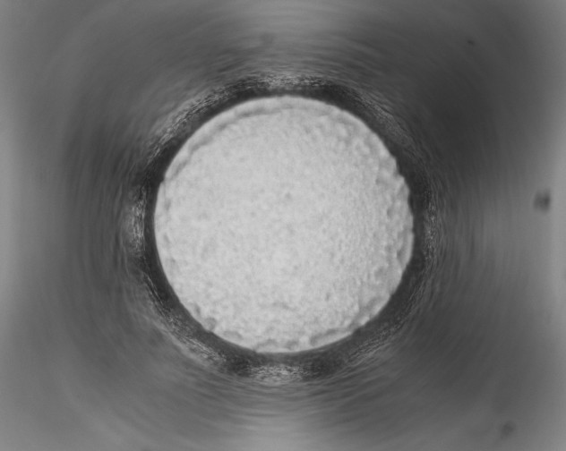 X0000115300691200911301514