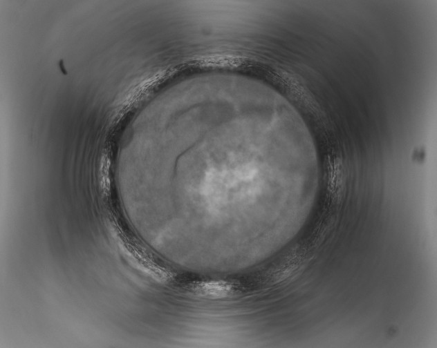 X0000115300692200911301514