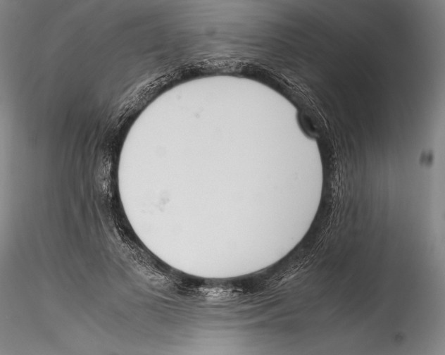 X0000115300693200911301514