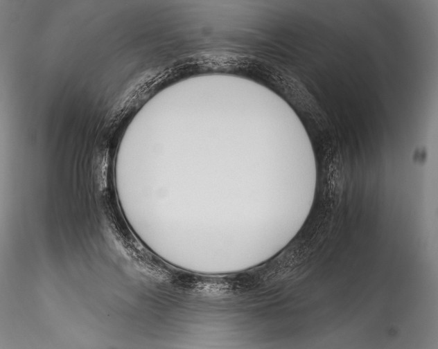 X0000115300694200911301514