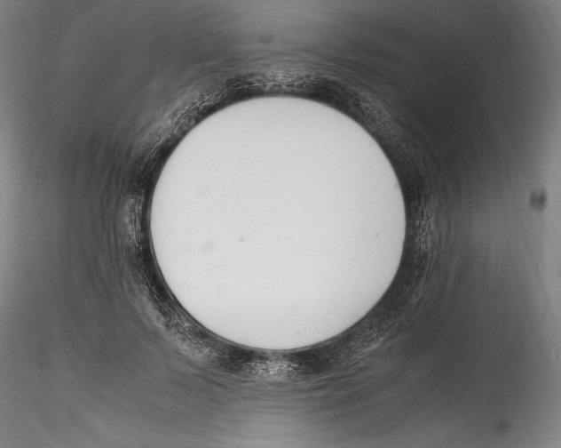 X0000115300695200911301514