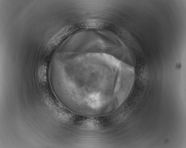 X0000115300696200911301514