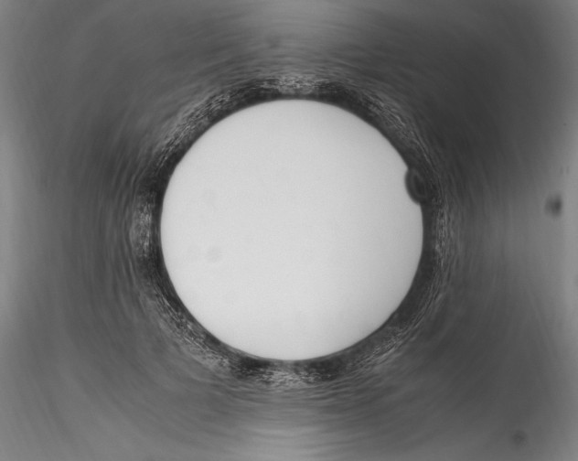 X0000115300697200911301514