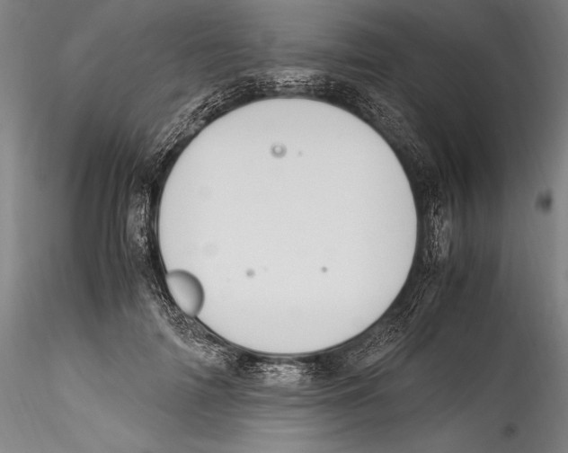 X0000115300698200911301514