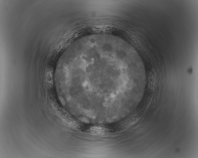 X0000115300699200911301514