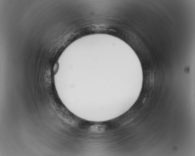 X0000115300700200911301514