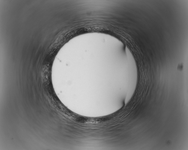 X0000115300701200911301514