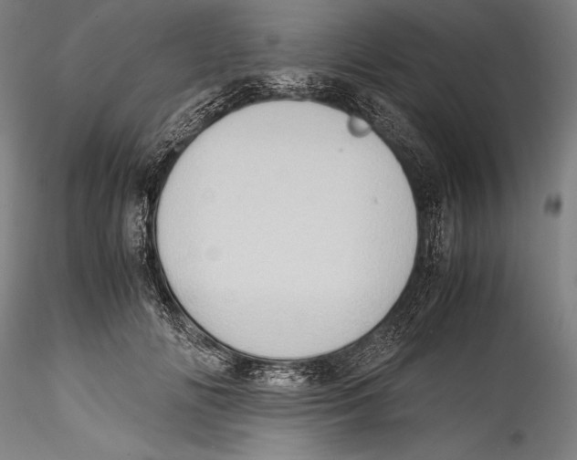 X0000115300702200911301514