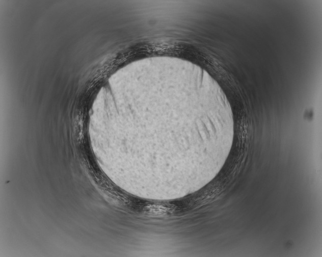 X0000115300703200911301514