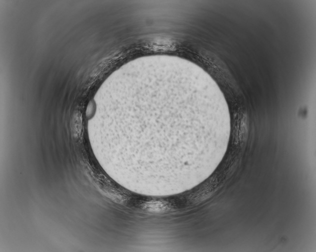 X0000115300704200911301514